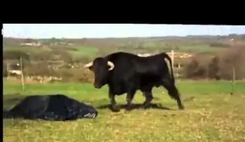 El video que está dando la vuelta al mundo 