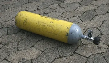 EE.UU.: Un veterano de 91 años sobrevive a un ataque de su cuidadora con un cilindro de oxígeno