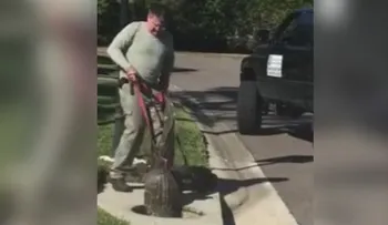 Escalofriante batalla entre un hombre y un cocodrilo