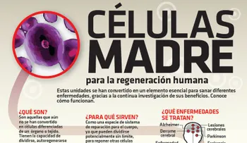 Revelan nuevo tratamiento con células madres para prevenir el envejecimiento Ã"seo y tratar la Osteoporosis