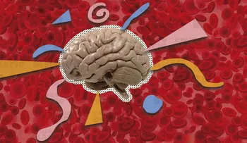 Investigadores de EEUU y China descubren una proteína que ayuda a prevenir el envejecimiento del cerebro