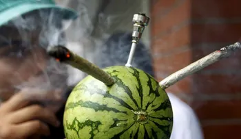 Hallazgo inesperado: Las reales consecuencias del consumo de cannabis