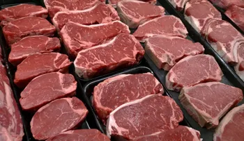 Departamento de Agricultura de EEUU retiran 6.5M libras de carne ante posible contaminación por salmonella 
