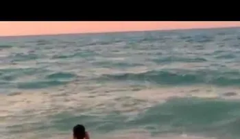 Una ballena gigante asombra a los turistas en las playas de Alejandría