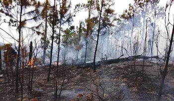 Unos 70 brigadistas combaten incendio reactivado en Valle Nuevo