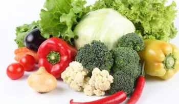 Nutrición y estilo de vida para reducir el riesgo de cáncer de mama