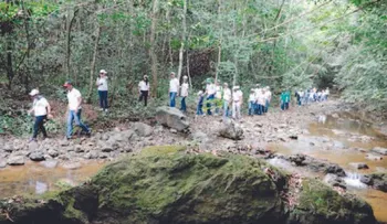Voluntariado Bancentraliano reforesta en Río Ozama
