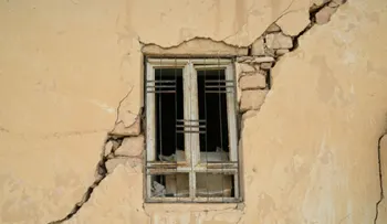 Video: descubren bacteria capaz de lograr edificios se reparen a sí mismos