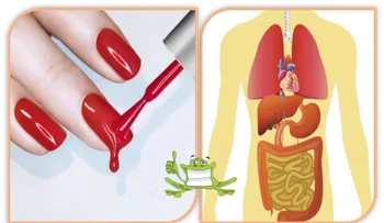 Mira lo que le sucede a tu cuerpo 10 horas después de aplicarte esmalte de uñas. LÃ?ELO URGENTE!!