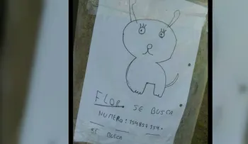 Dos niños perdieron a su perrita, y como no tenían fotos la dibujaron