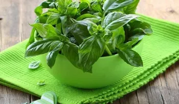 2 remedios naturales con albahaca