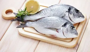 Consumir pescado mejora la inteligencia, la memoria y el aprendizaje 