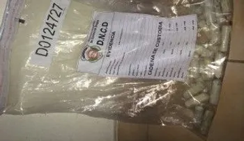 Apresan a dos mulas que iban para NY cargadas con bolsitas de droga