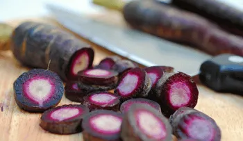 Descubre la zanahoria morada: para prevenir el cáncer y buena para perder peso