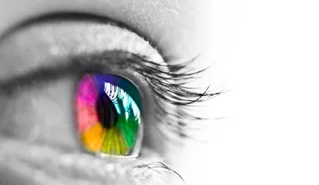 Sinestesia: ¿oler los colores?