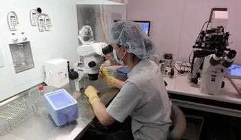 Un estudiante chino descubre por qué los médicos no vencen el cáncer