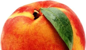El durazno sana los calambres o fatiga muscular y contiene vitaminas del complejo B y C