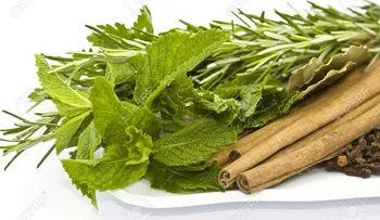 Para que sirven estas hierbas: Romero, Canela, Albahaca y Laurel