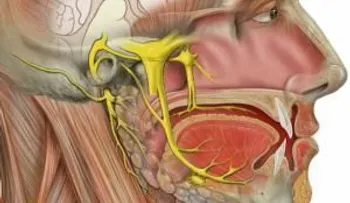 Cómo tratar la neuralgia del trigémino