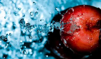 16 alimentos hidratantes que te ayudarán a perder peso