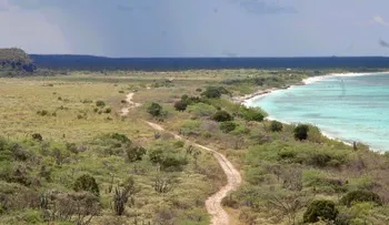 Un hombre y 2 sobrinos se enfrentan por parcelas Bahía de Las Aguilas 