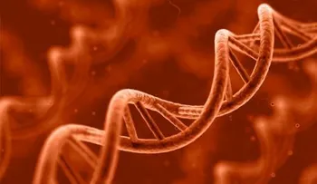 Genes del síndrome de Down da pistas sobre la causa de la diabetes del tipo 2