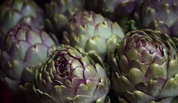 ¡Sorprendentes razones para tomar alcachofa!