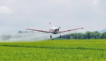 Desaparece avioneta que salió de Azua