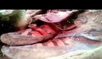 Impactante hallazgo: Momia de 1500 años con calzado moderno (VIDEO)