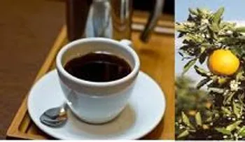 Nada es más efectivo que una naranja agria con café amargo para bajar el colesterol