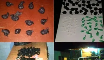 Agentes policiales apresan a seis sujetos con más de 400 porciones de drogas