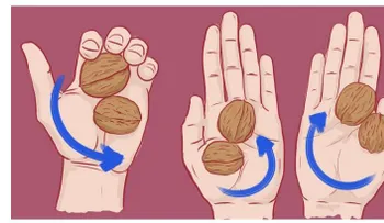 2 nueces en mi bolso, y ni te imaginas para lo que es. ¡Cuando conozcas la razón, harás lo mismo!