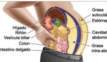 Alimentos que queman grasa