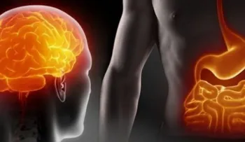 ¿Sabías que nuestro â??segundo cerebroâ? no está en la cabeza, sino en el vientre?