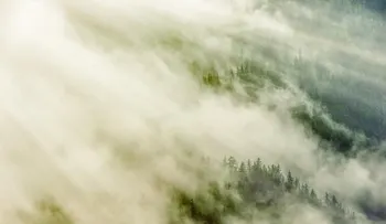 ¿En qué consiste, la llamada "niebla COVID"?  