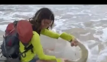 Una turista sacó un tiburón del mar para una foto y está vivo de milagro 