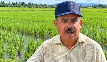 Sánchez Roa califica de "chapucería" el decreto arrocero y reclama protección para los productores