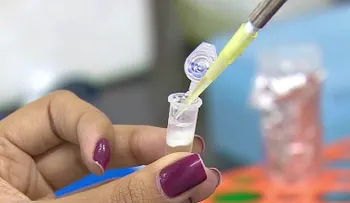Científicos hallan "superbacterias" en algunas playas de Río