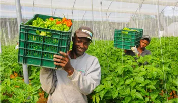 Danilo Medina: "Apostamos por el campo porque ahí se concentraba la mayor desigualdad"