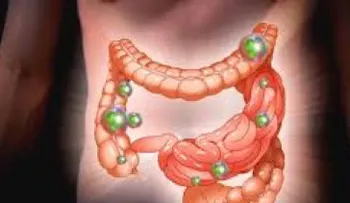 Las bacterias intestinales existen antes que el ser humano