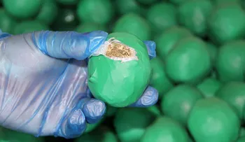 Narco-limones decomisan casi 2 toneladas de marihuana camufladas en un cargamento de frutas