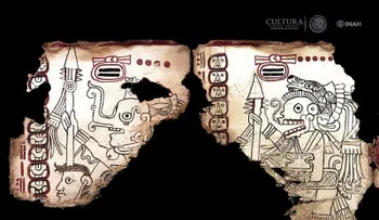 Confirman que el Códice Maya de México es el manuscrito legible más antiguo de América