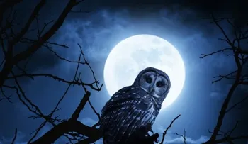 La luna llena provoca insomnio