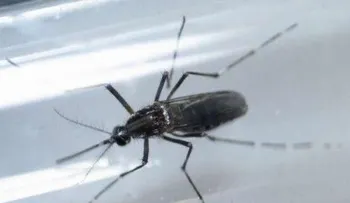 ¿Te dio Zika?, podrías padecer de esta peligrosa enfermedad