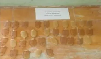 Apresan en aeropuerto Punta Cana a peruana con 35 bolsitas de drogas en el estómago