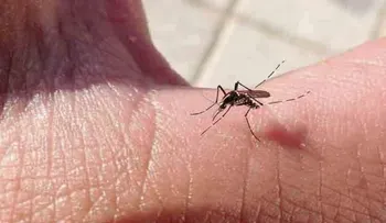 Obras Públicas sigue con jornada contra el zika, dengue y chikungunya