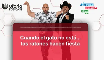 Cuando el gato se va, los ratones hacen fiesta