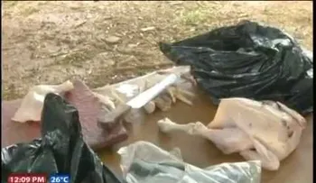 Asociación llama a no consumir pollo