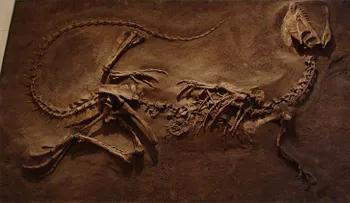 Hallan el dinosaurio con más problemas óseos del mundo