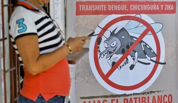 Los casos de zika en Colombia ya son más de 37.000; mujeres embarazadas afectadas, 6.356
